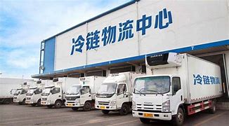 【政策】八部门发文鼓励社会资本参与设施农业、冷链物流等项目